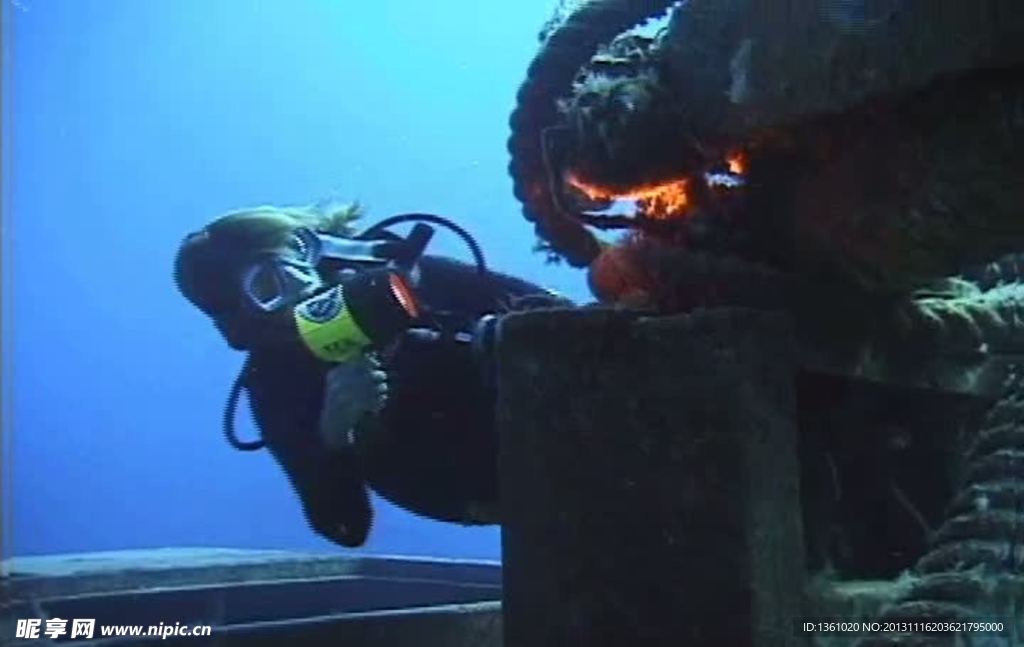 海洋海底生物视频素材