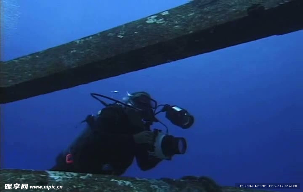 海底海洋生物视频素材