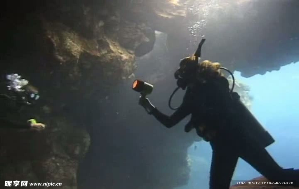 海底海洋生物视频素材