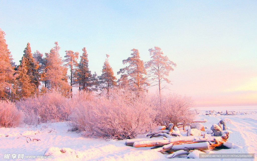 雪景