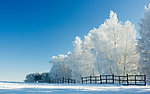 雪景