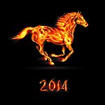 2014骏马 火焰马