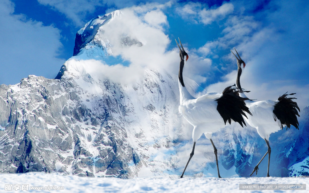 仙鹤神山