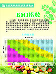 BMI健康指数