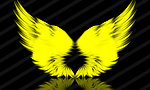 翅膀 黄色 背景