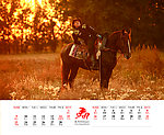 2014台历