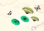 荷叶 莲花 蝴蝶