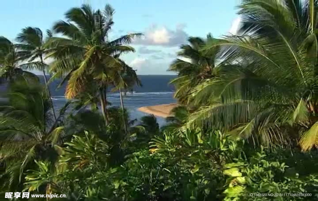 海洋海水海岸视频素材