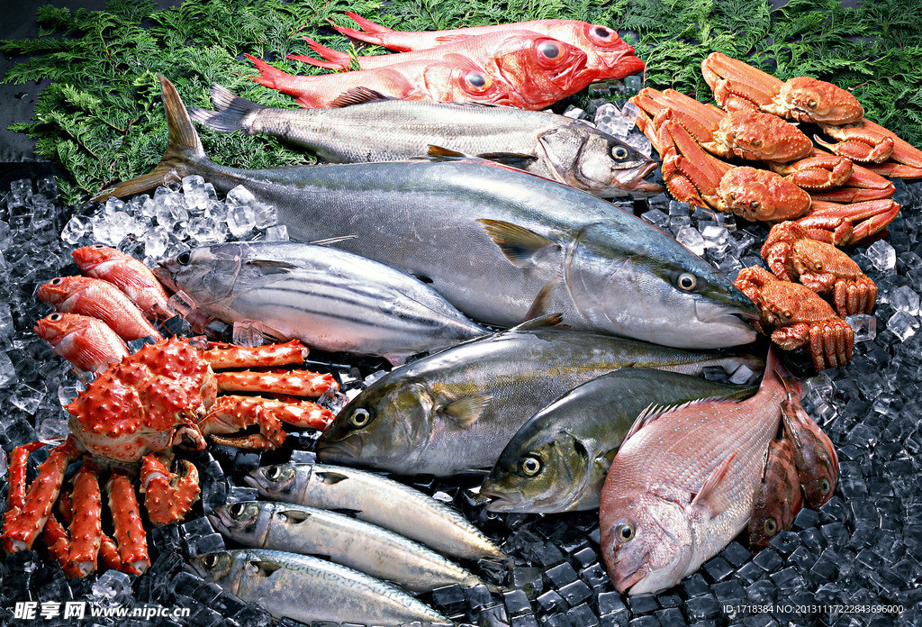 海鲜水产品分层图