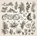 欧式花纹 花卉