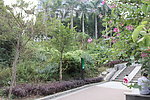小区绿化带