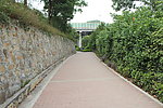 乡村马路