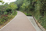 公园小路