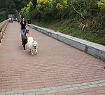 公园遛狗