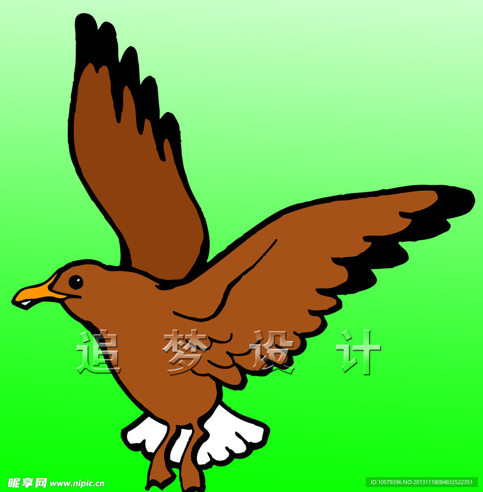 老鹰