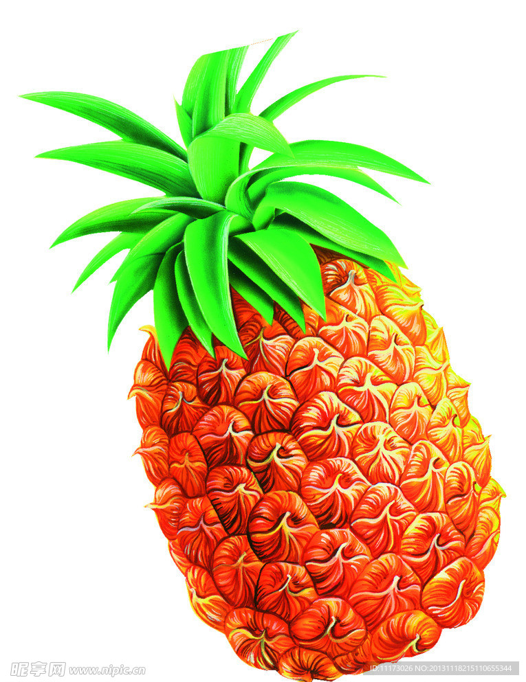 菠萝