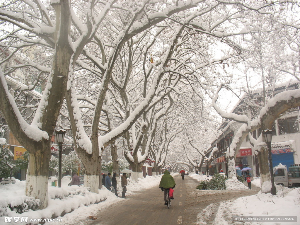 雪中的南京瞻园路