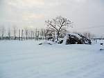 雪景