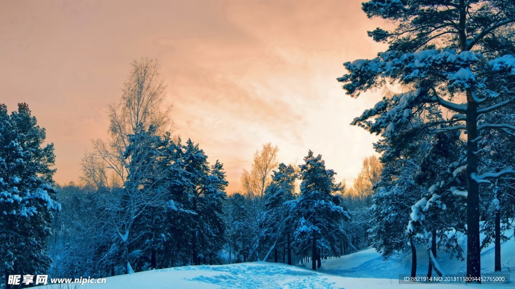 雪景