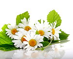 鲜花