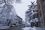 第比利斯街道雪景