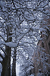 雪后街景