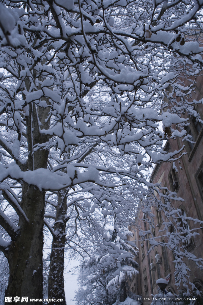 雪后街景