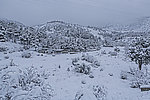 雪中墓地