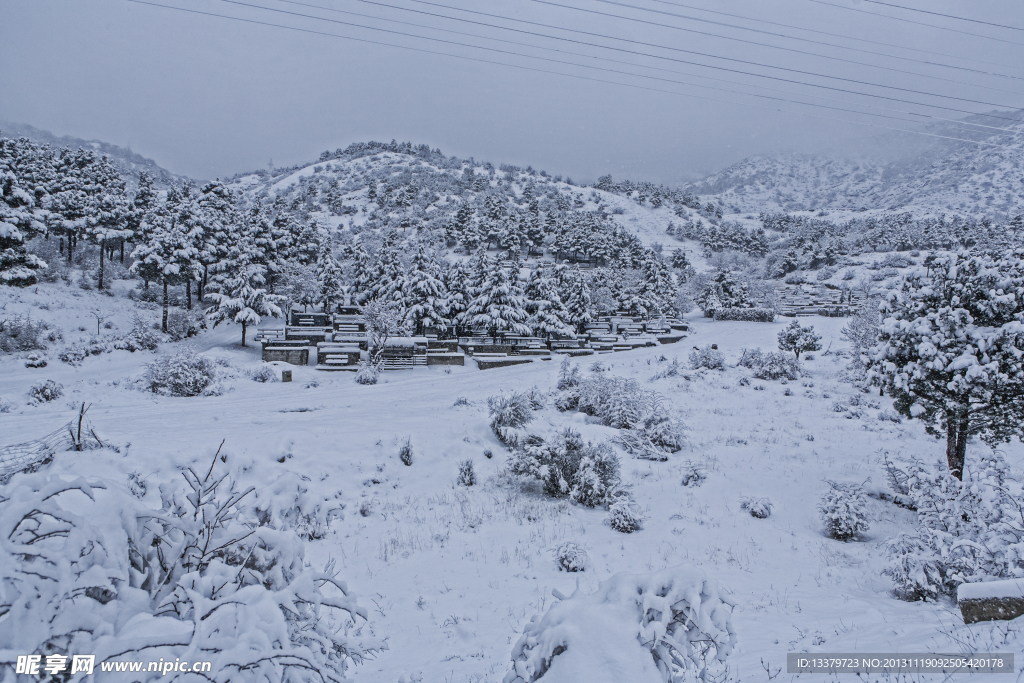 雪中墓地