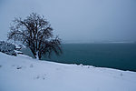 湖畔雪景