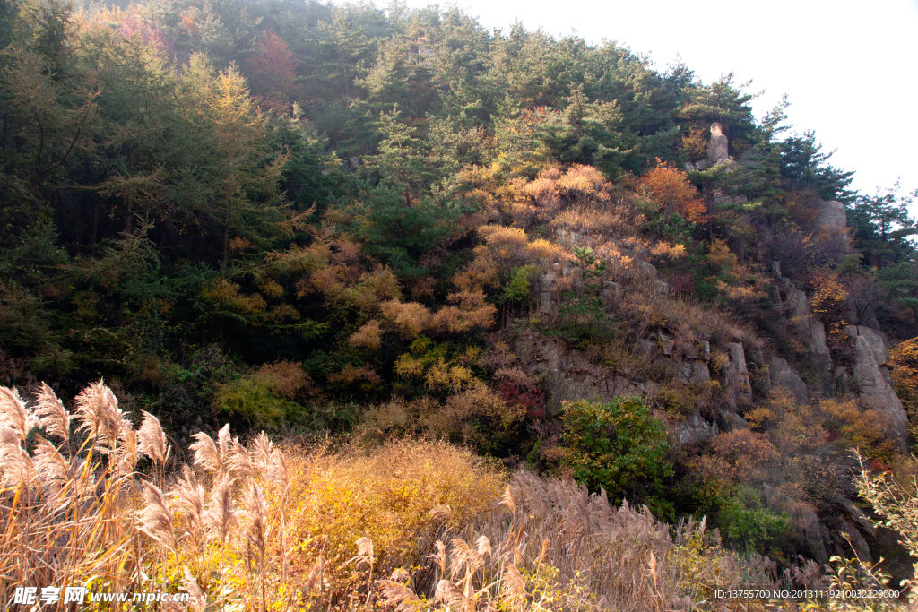 崂山秋韵