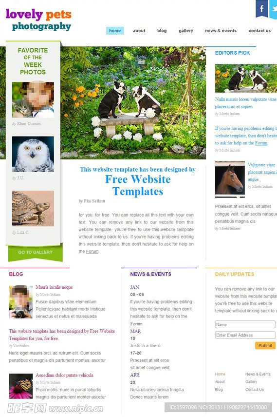 宠物摄影网页模板