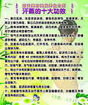 汗蒸十大功效