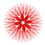 花纹 圆形 放射状