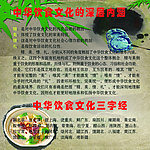 食堂文化 餐厅 食堂