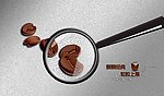 邦奇蓝山咖啡