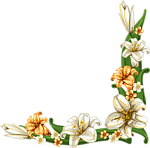 手绘花纹