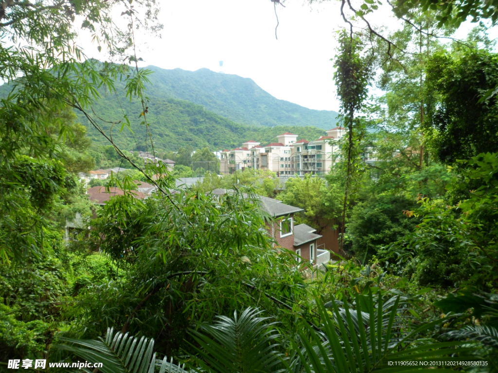 别墅 园林 青山 绿化