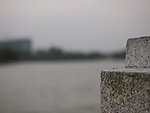 岩石