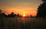 夕阳
