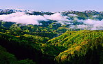 山峰