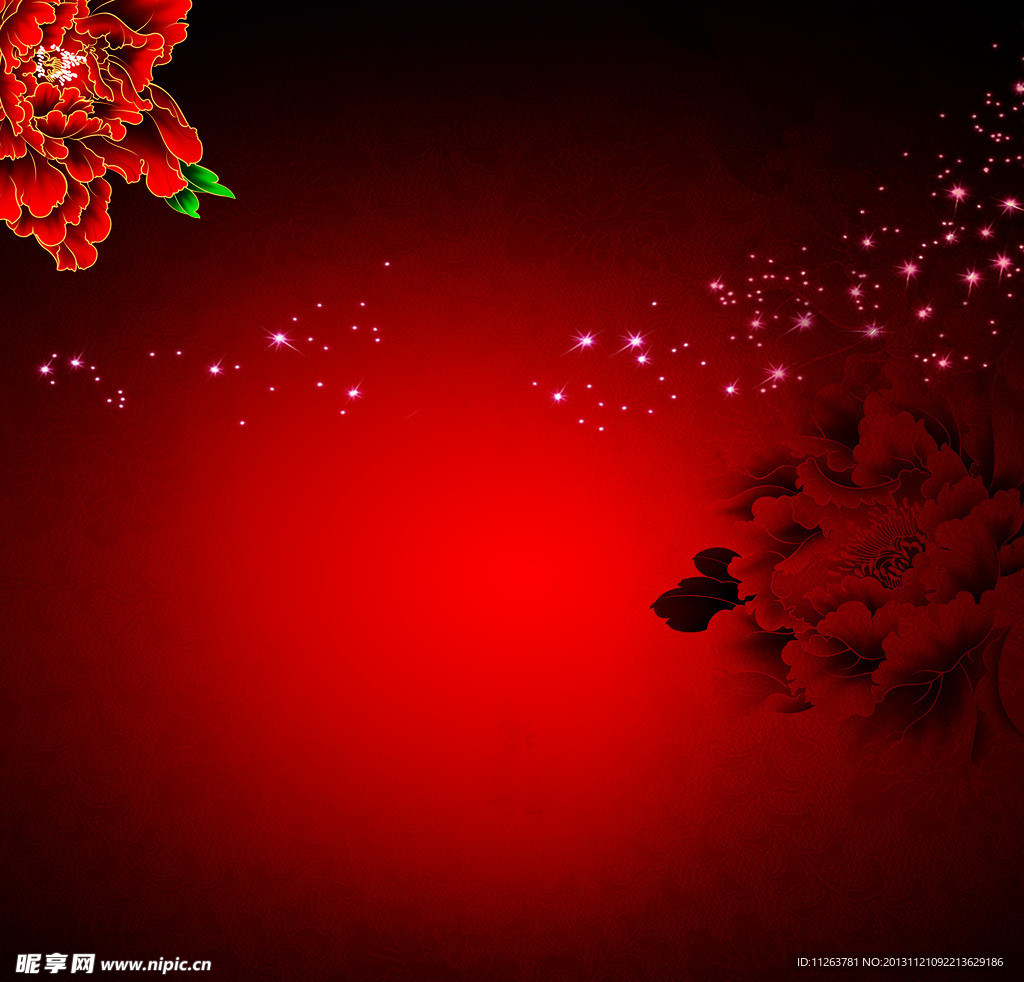 菊花背景