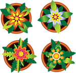 手绘花纹