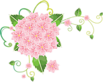 花纹背景