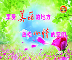 美容