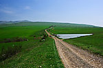高山草甸 公路