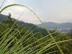 山顶