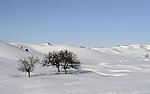 雪地