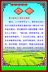 二十四节气