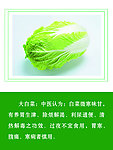 大白菜